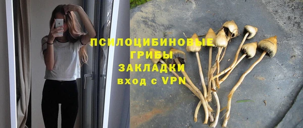 ALPHA-PVP Арсеньев